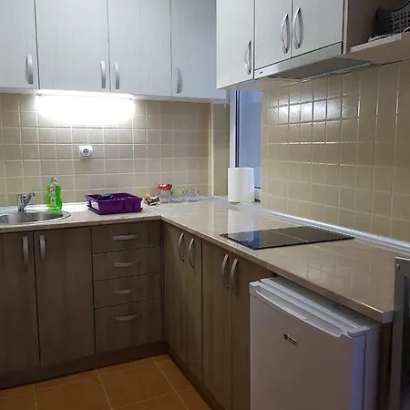 Apartment Dorna *